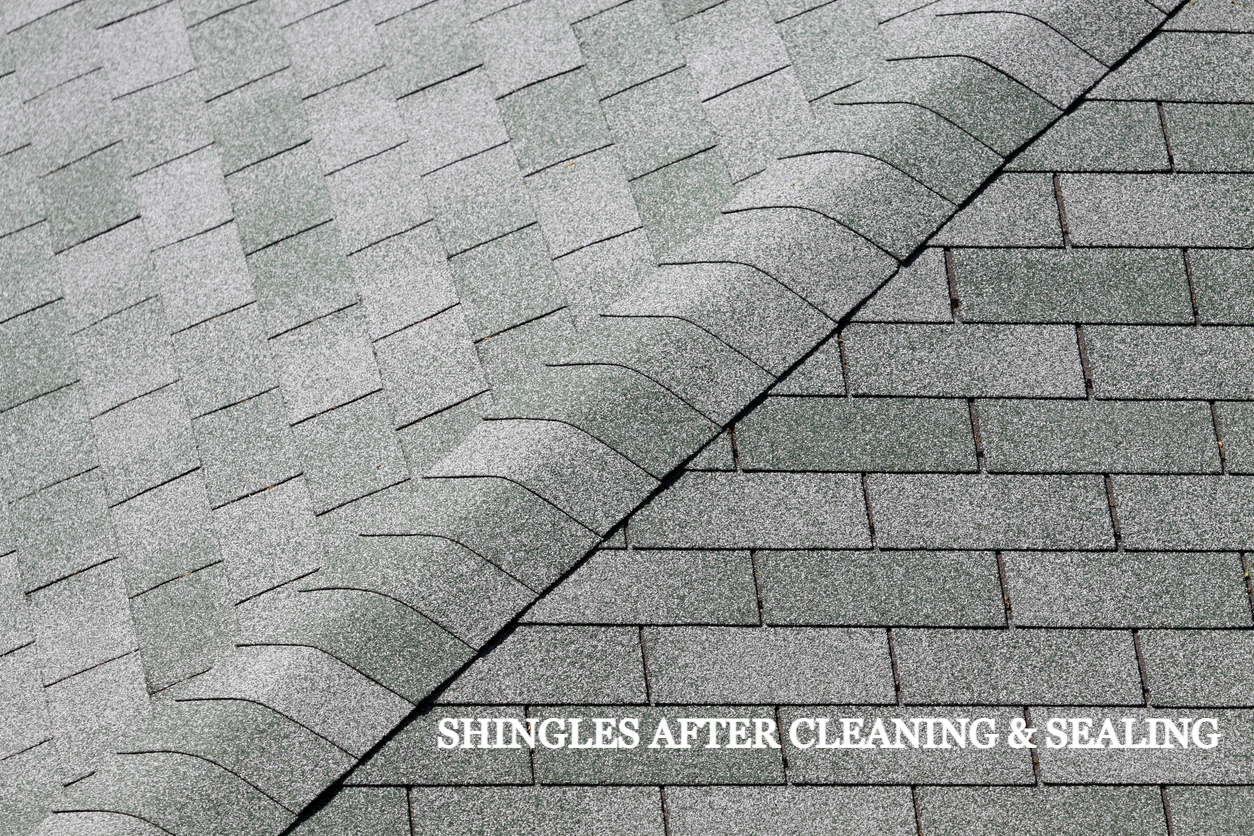 Shingle roof before and after cleaning and sealing